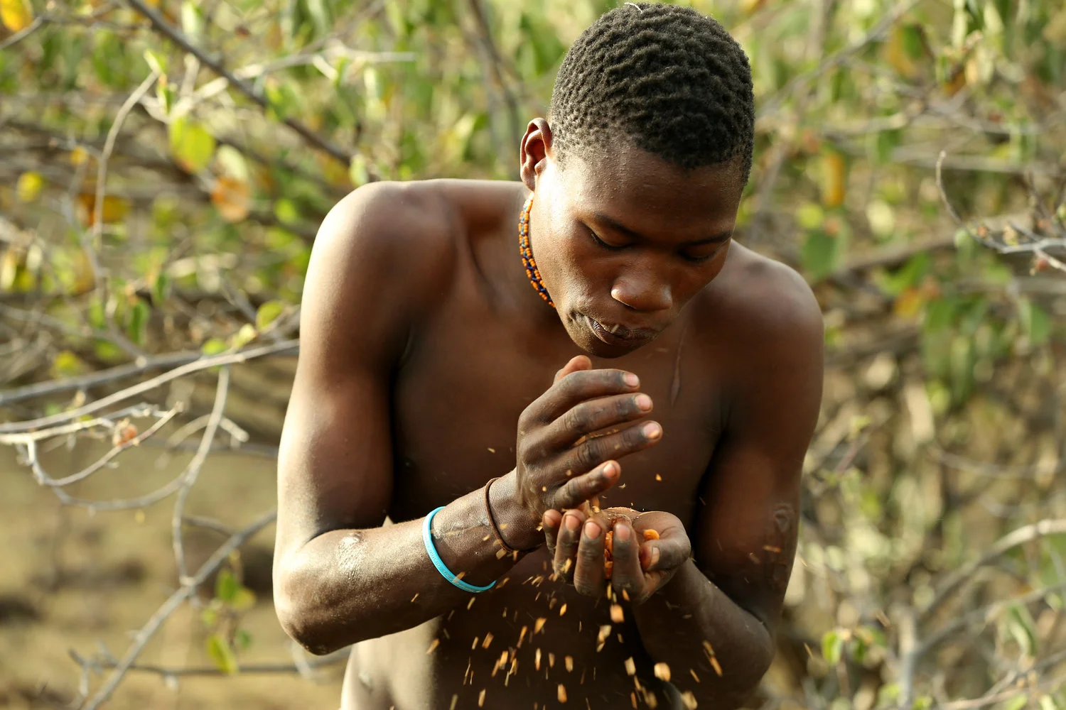 Hadza+boy+blows+on+berry+husks.jpg