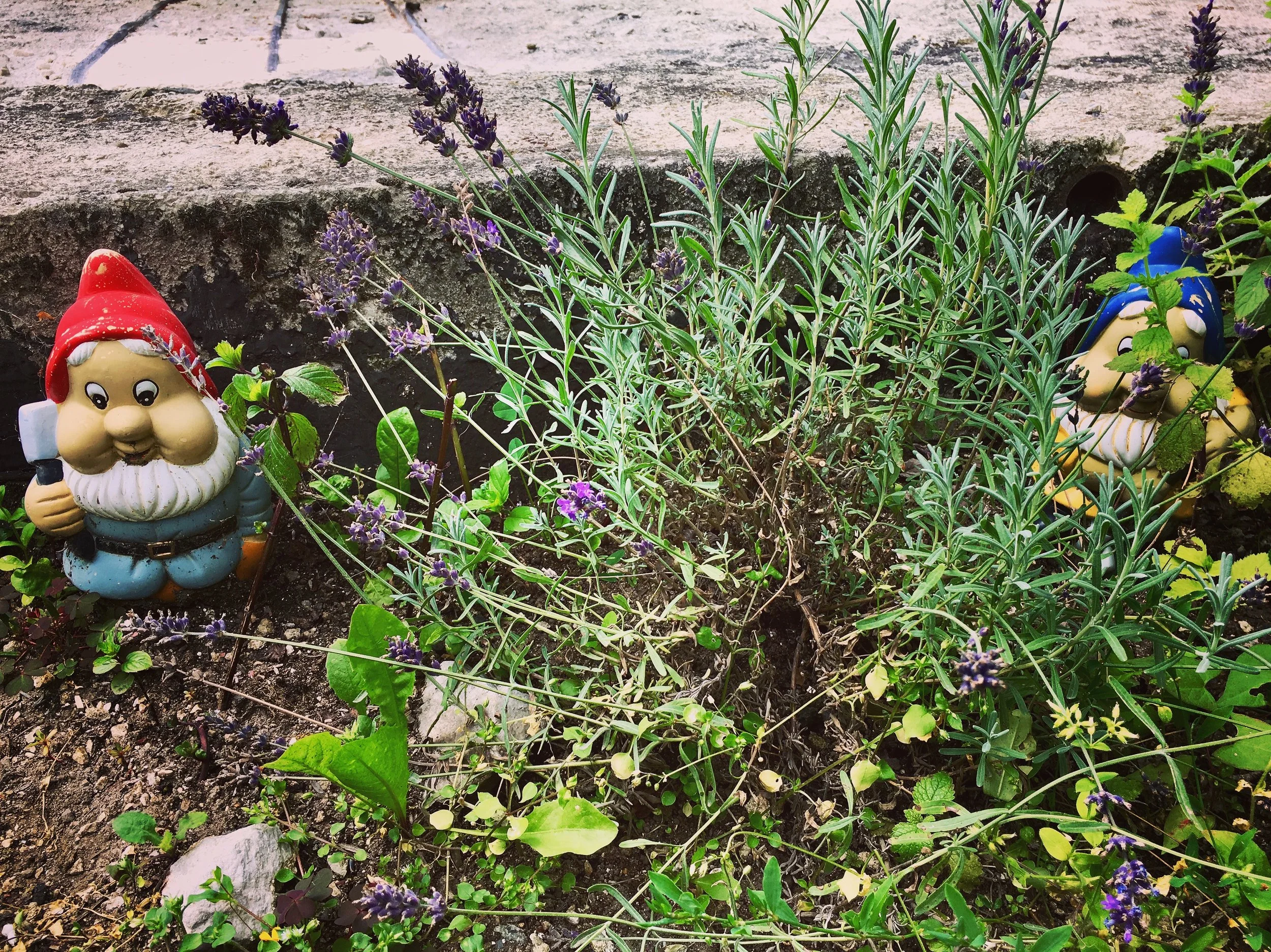 Austria, Slovakia, and The Czech Republic