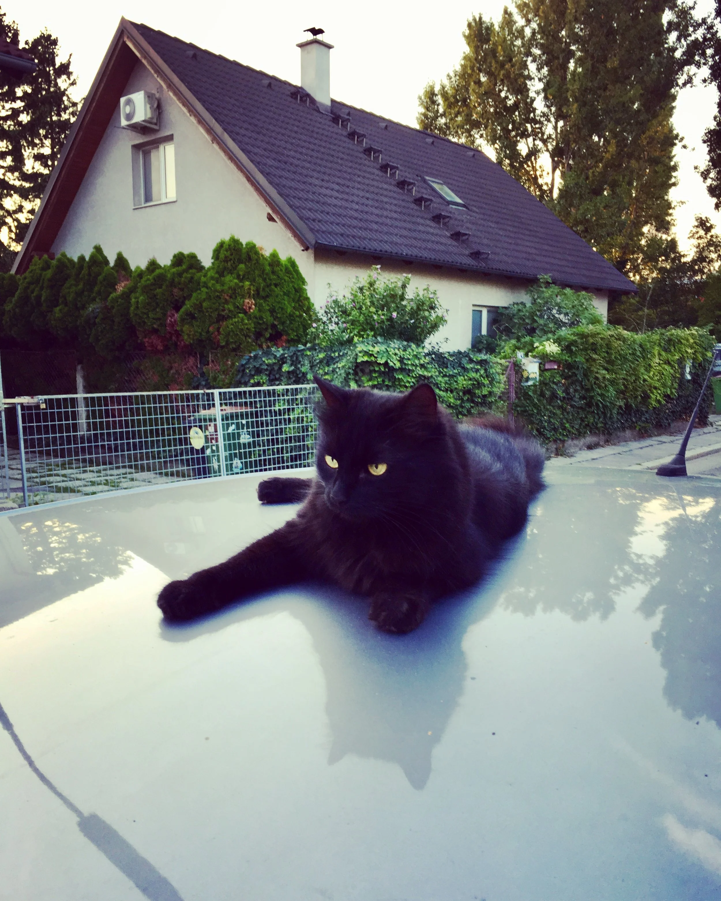 Austria, Slovakia, and The Czech Republic