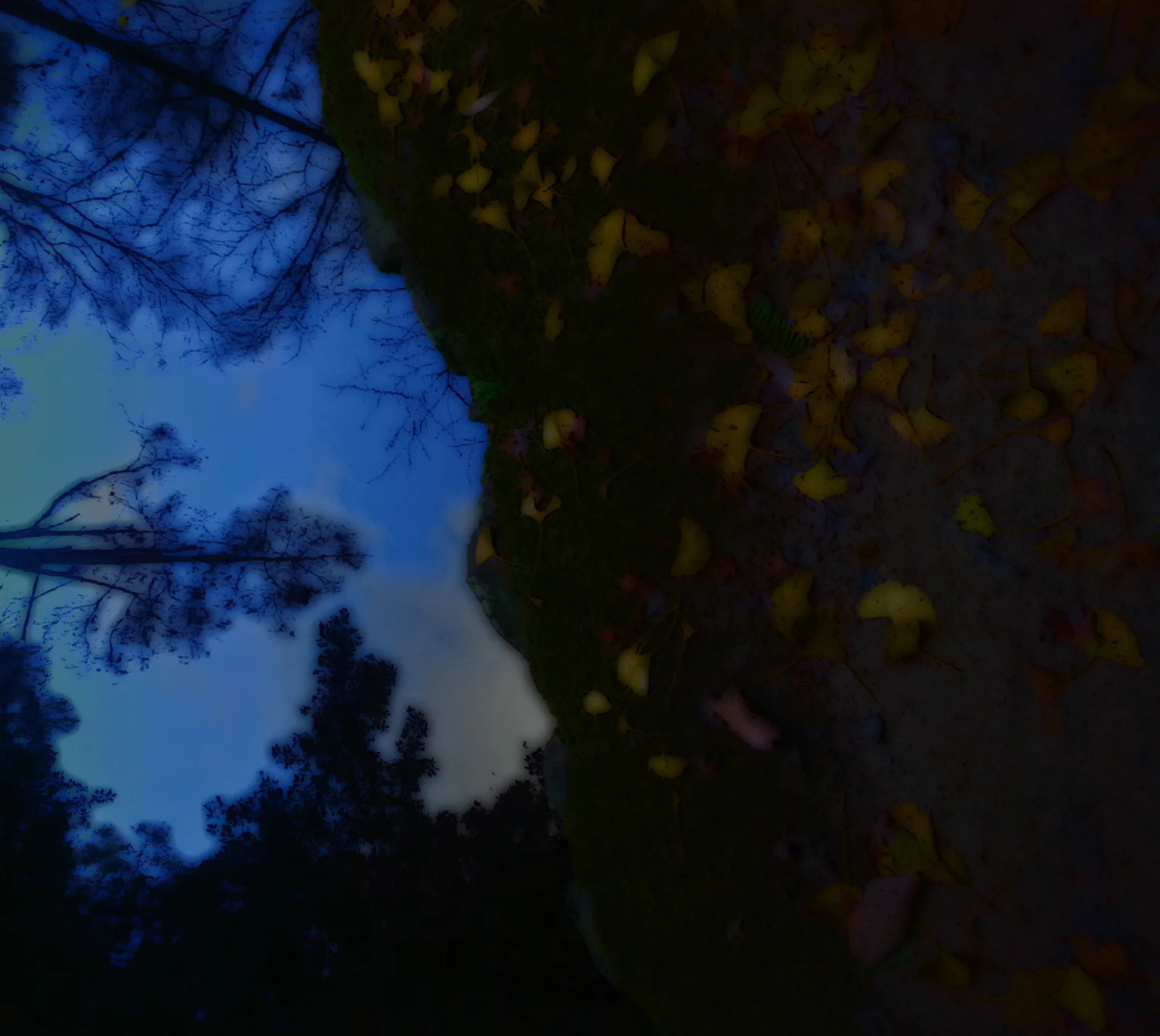 How To Fix A Broken Imagination