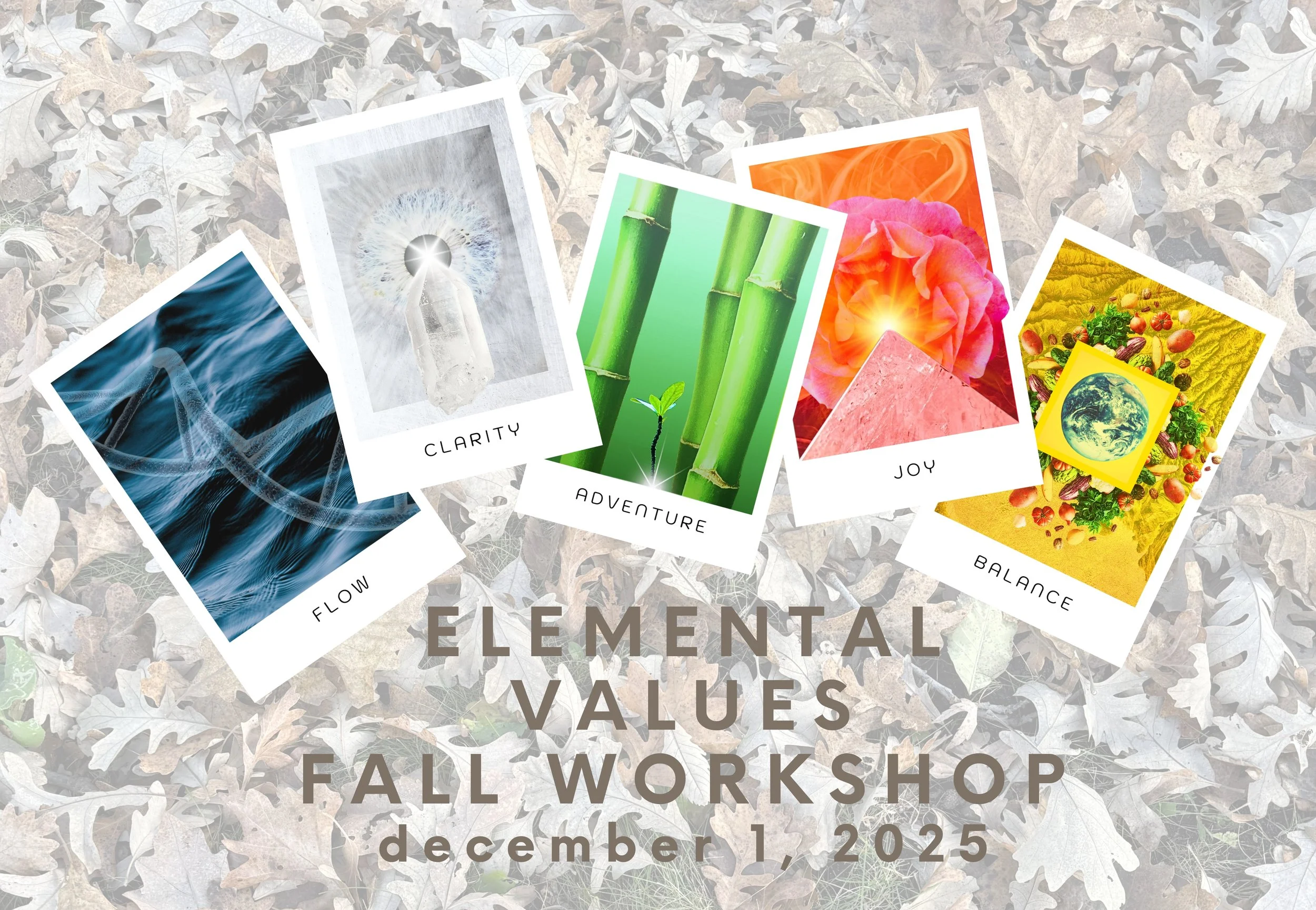 Elemental Values Fall  Workshop  In-Person @The Qi House