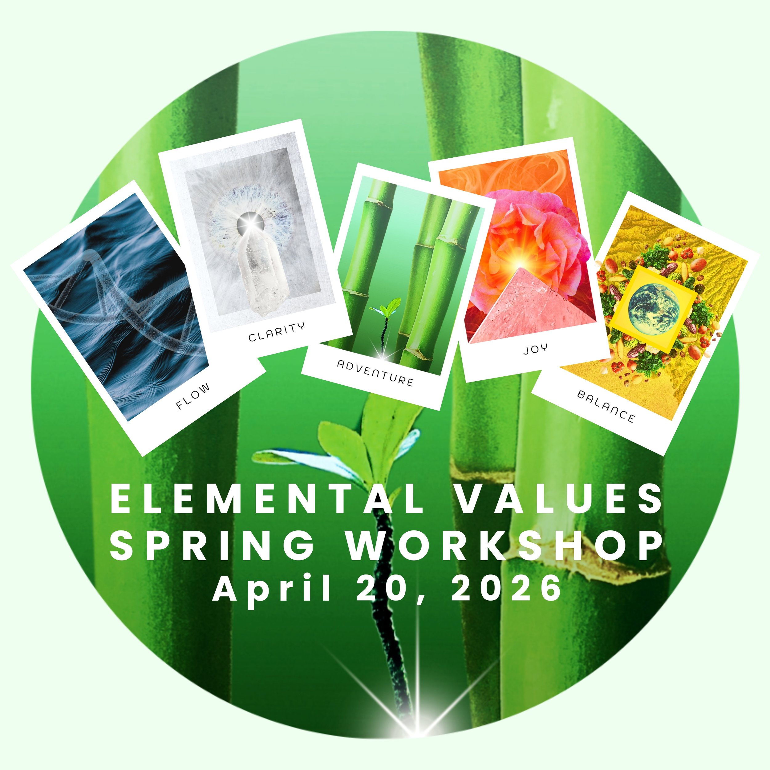 Elemental Values Spring Workshop