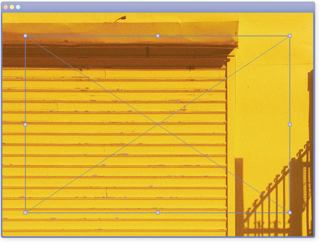 Alisha_Hurst_intro_NYC_1-01.png