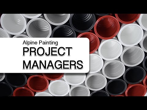 Project Managers