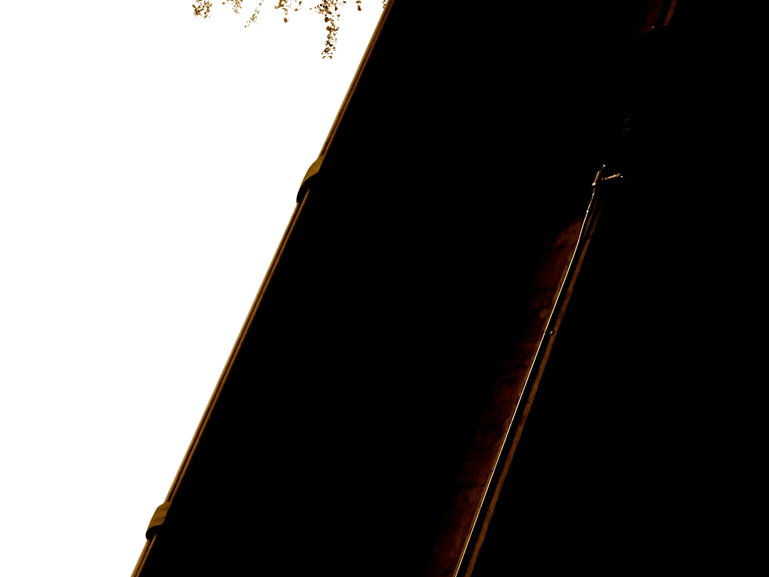 DSC01569.JPG