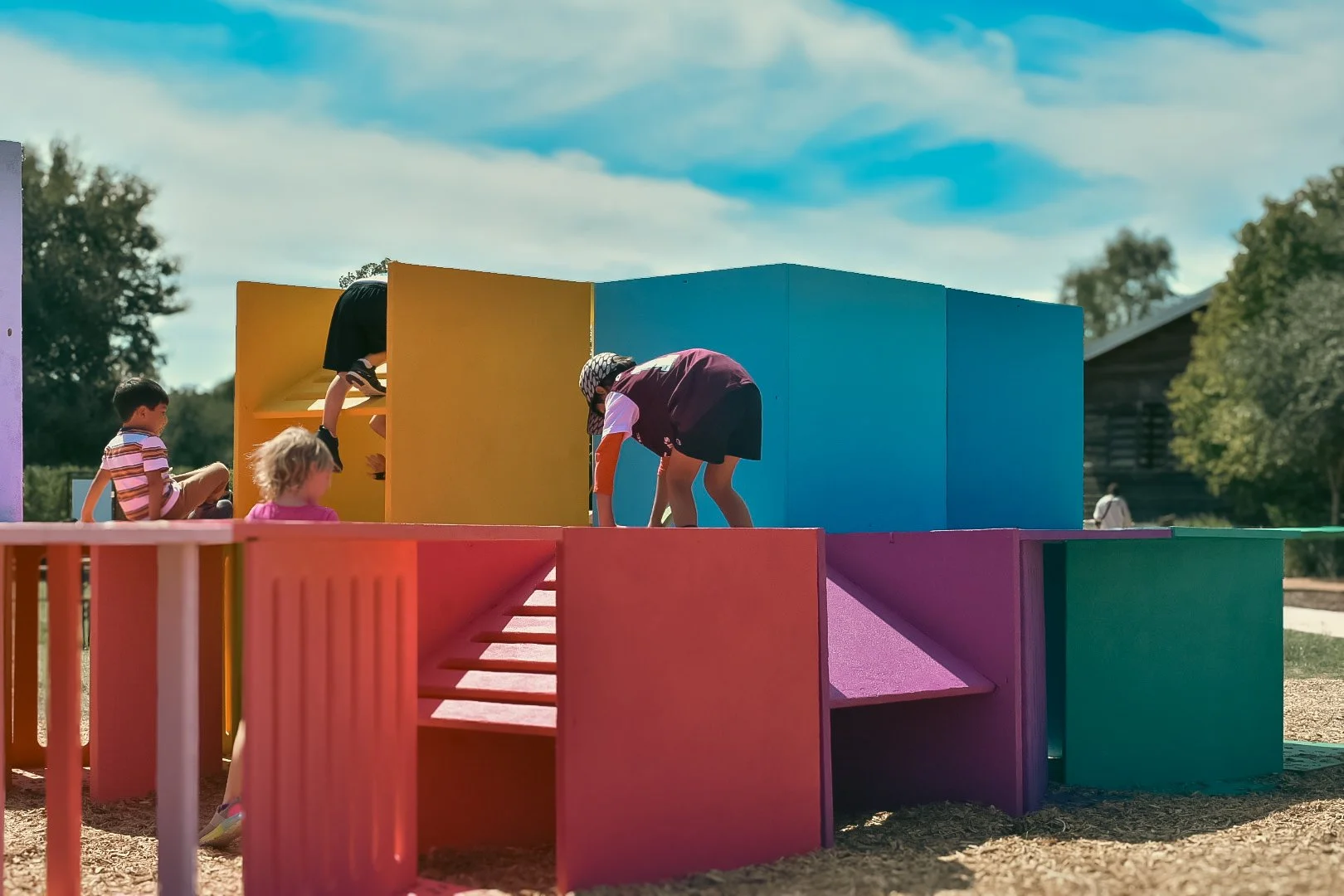 Bloom Boxes / Fortlandia - Lady Bird Wildflower Center