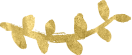 Shape1.png