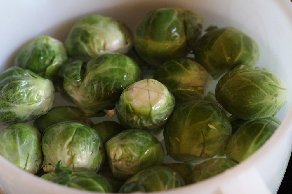 brusselsprouts-721594_1280.jpg