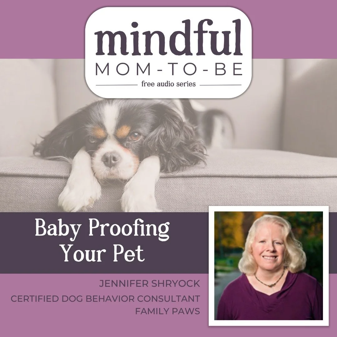 Episode cover for 'Is Your Pet Ready For Baby?' featuring Jen Shryock of Family Paws. The image includes the 'Mindful Mom-To-Be' title and a light purple background.