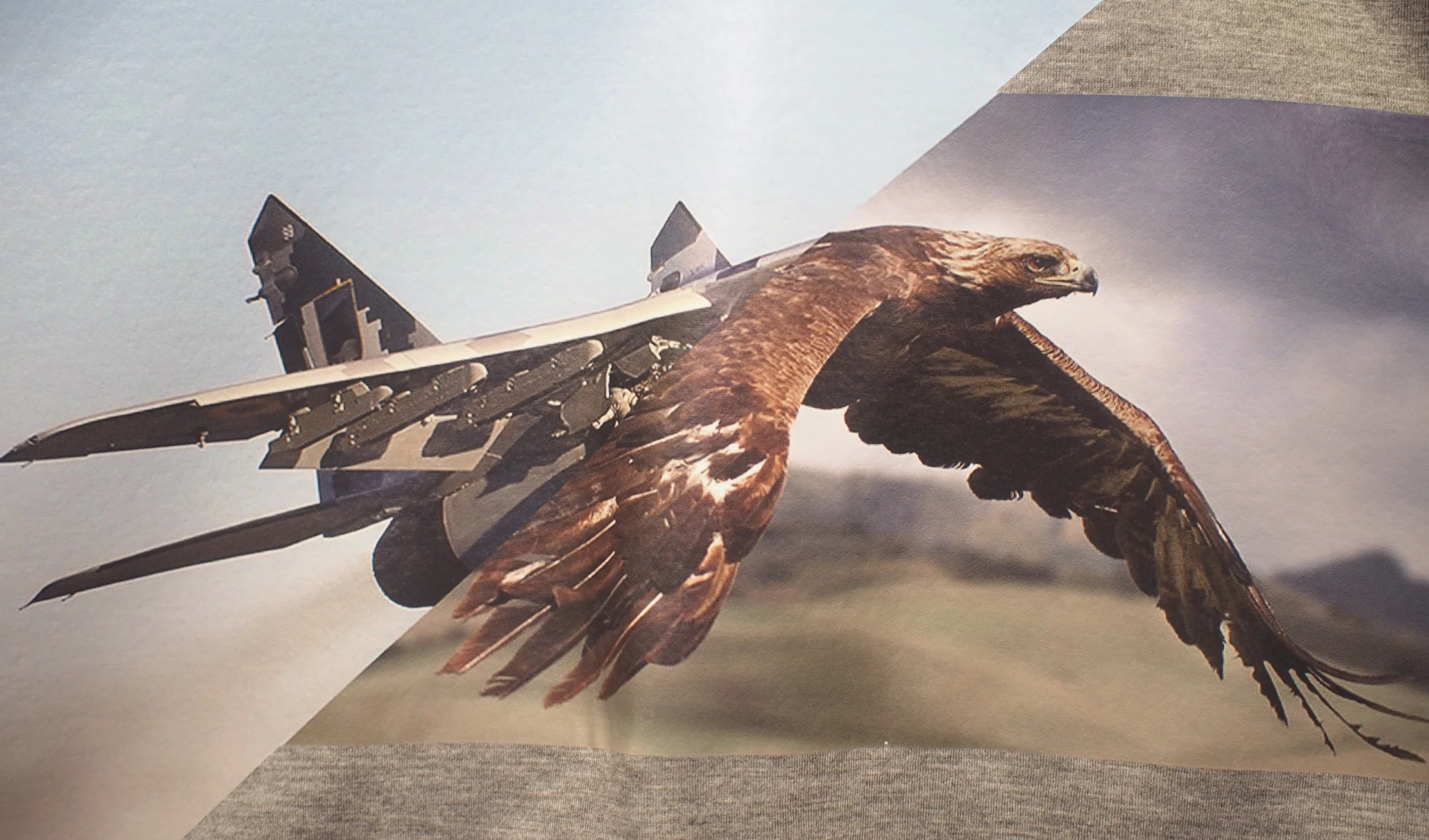 jet-eagle-neilbarrett.jpg