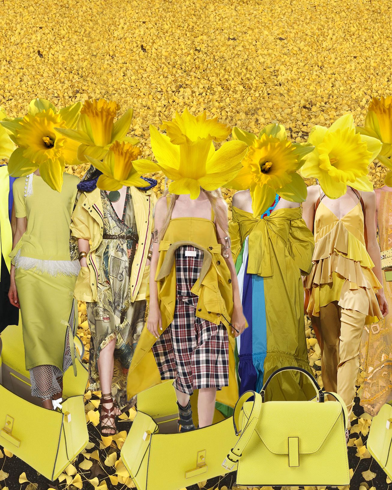 L to R: Issey Miyake, No 21, Etro, MAison Margiela, Peter Pilotto, Erika Cavallini, Valentino