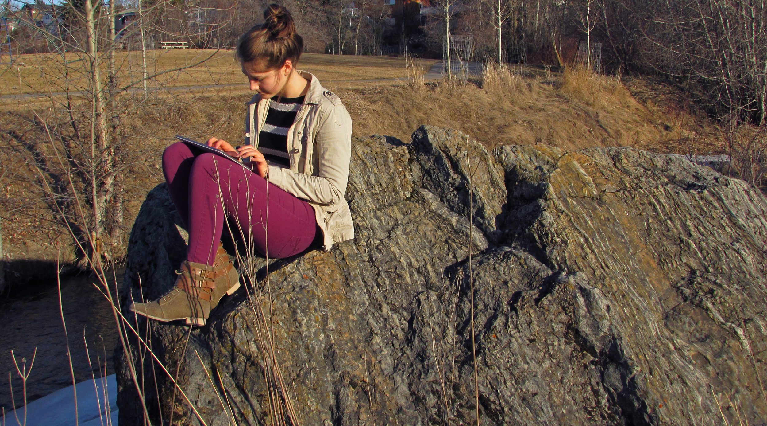 Mobile has now surpassed desktop in website usage— Photo by Evan Shellborn