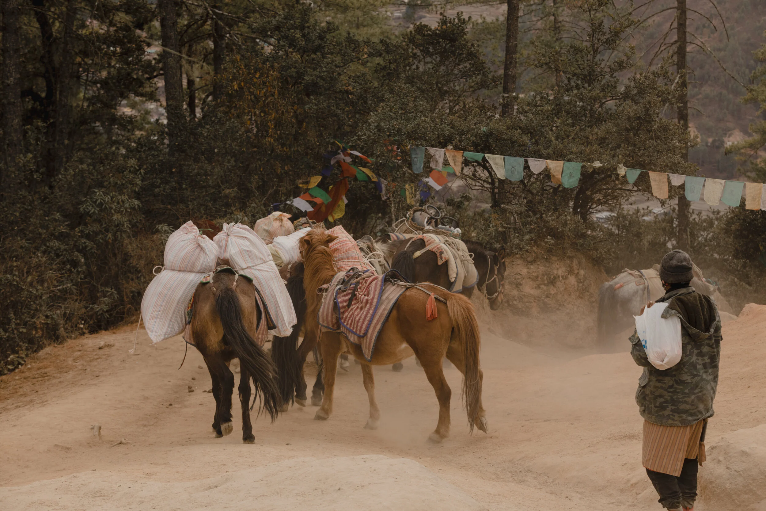 bhutan edited 3&4 (1 of 1)-22.JPG