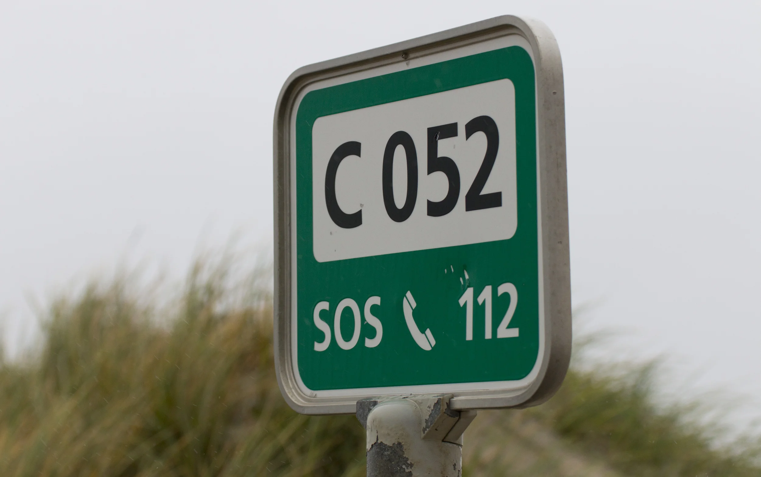 020615_Molerne_0012.jpg