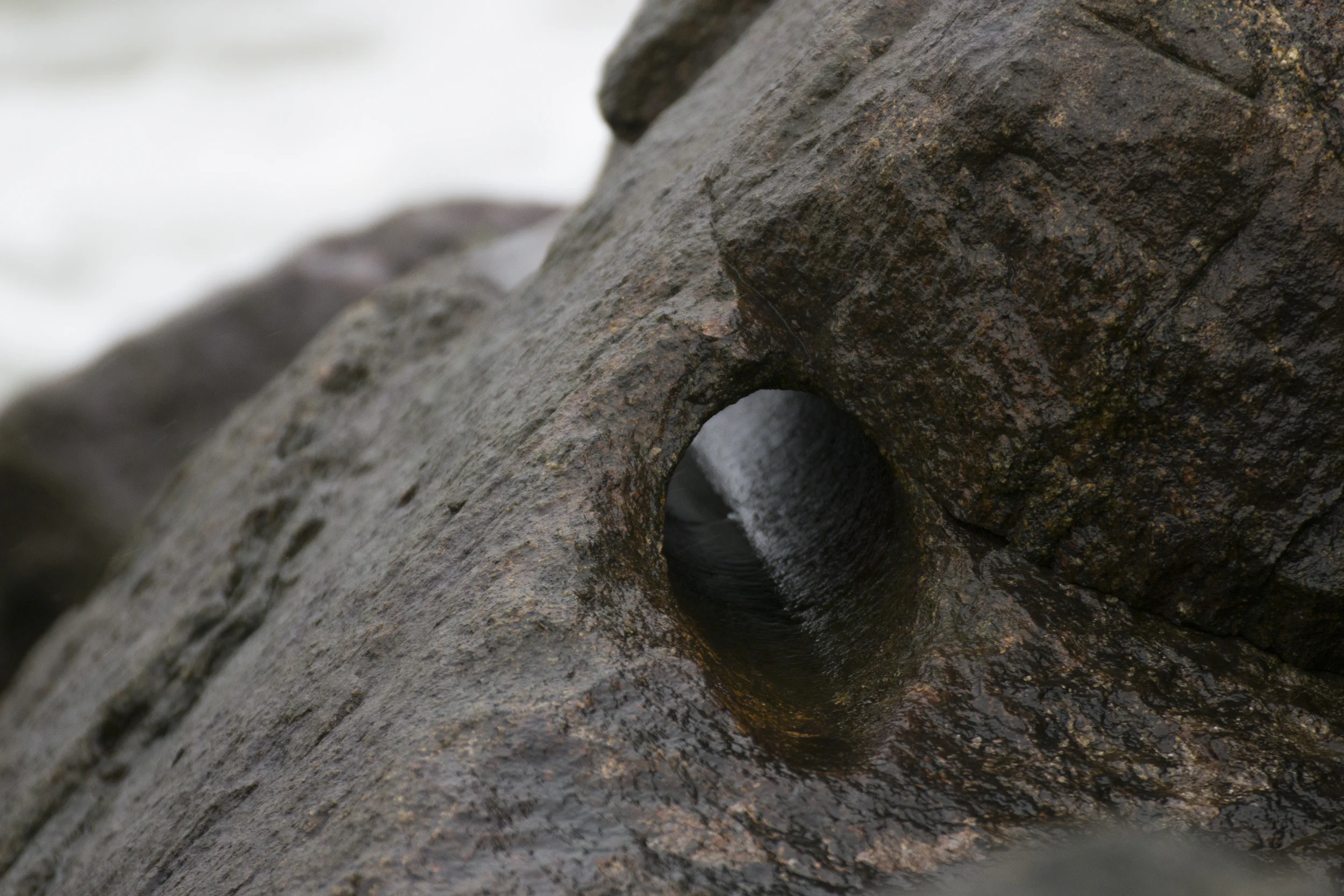 020615_Molerne_0214.jpg