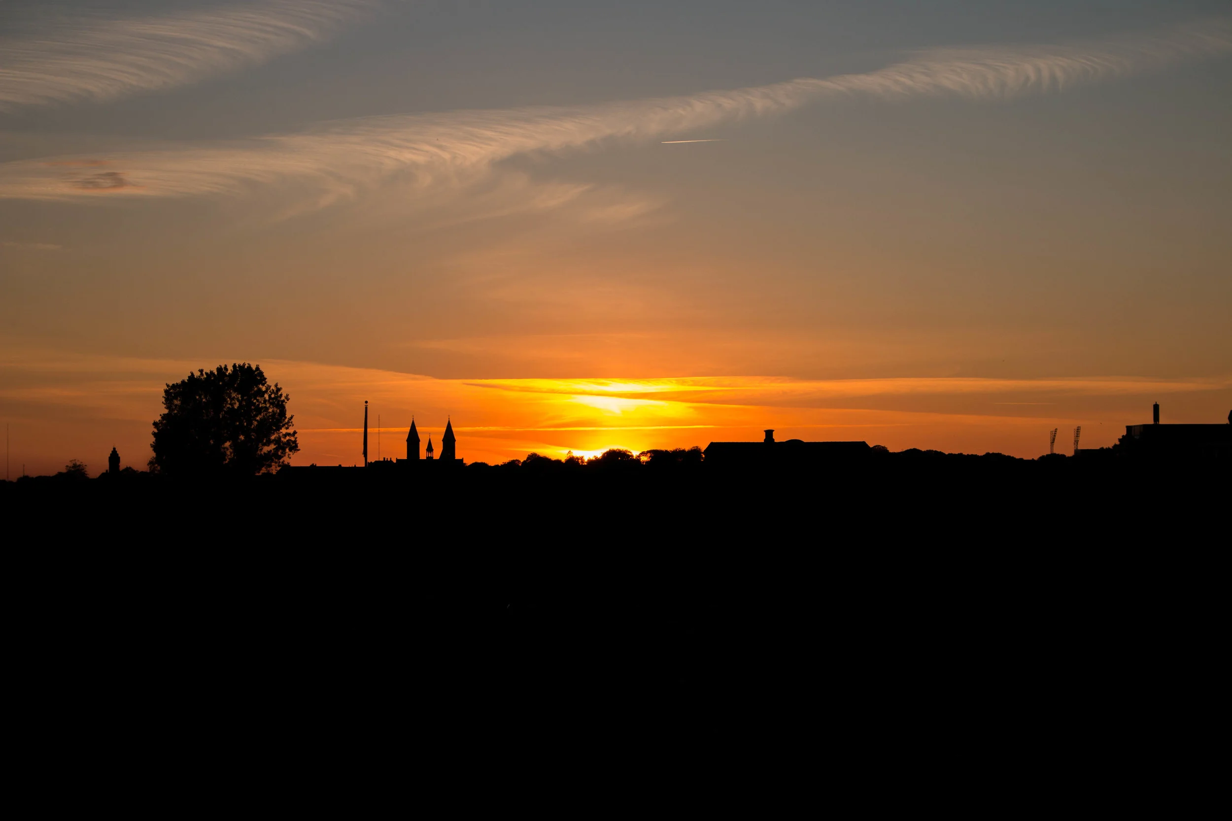 _MG_5235.jpg
