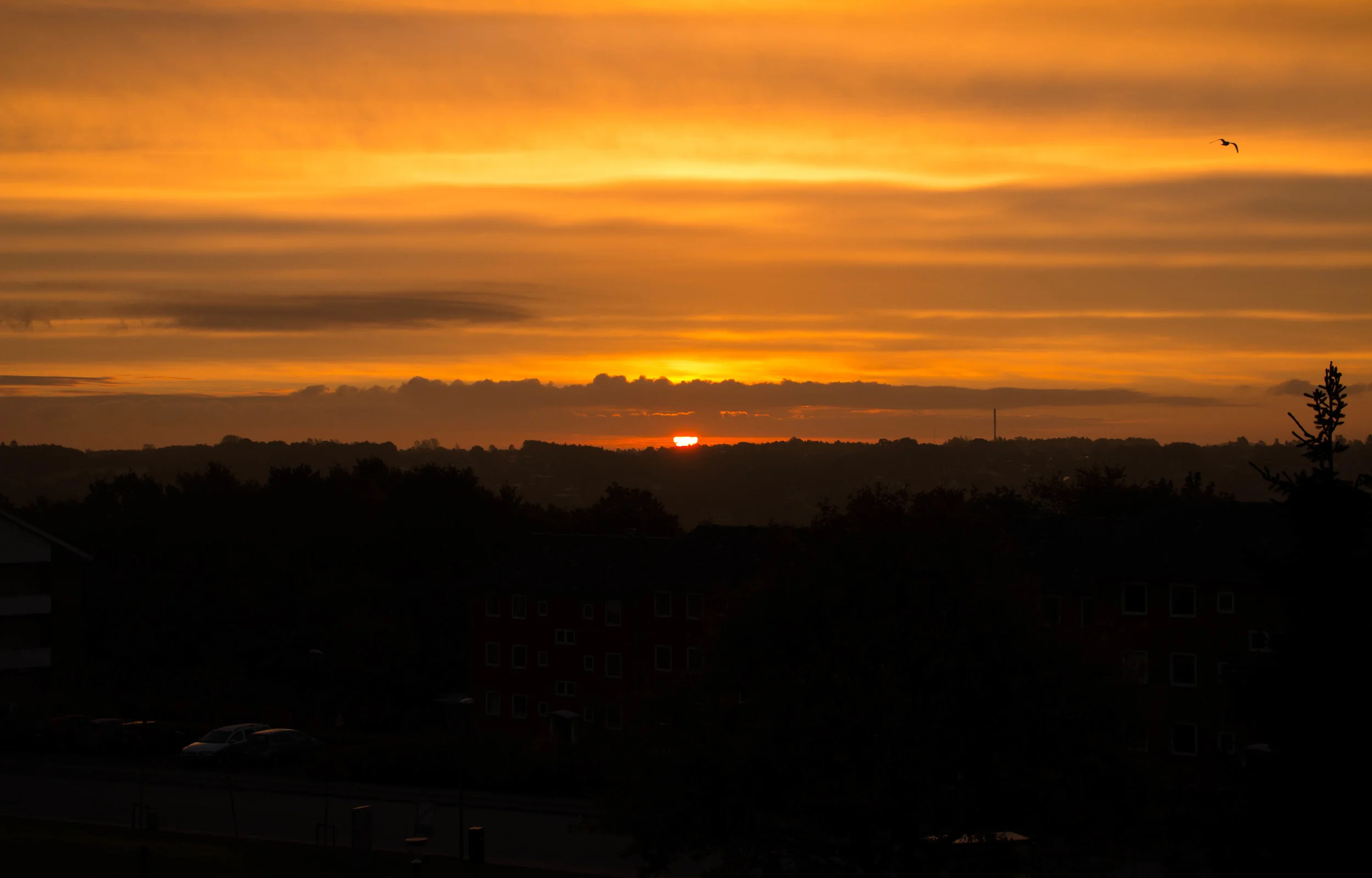_MG_7182.jpg
