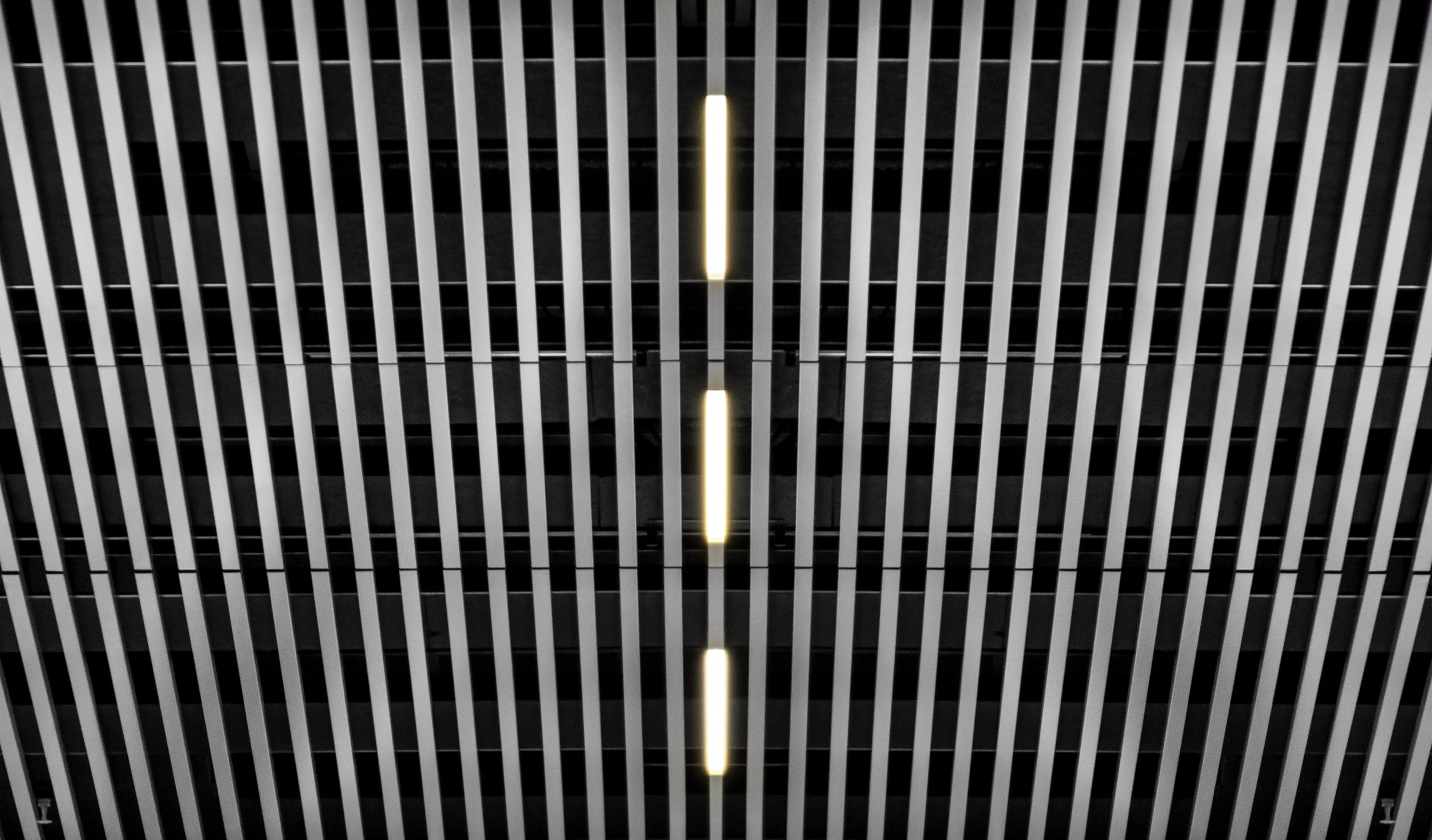 _MG_1527-Edit-2.jpg