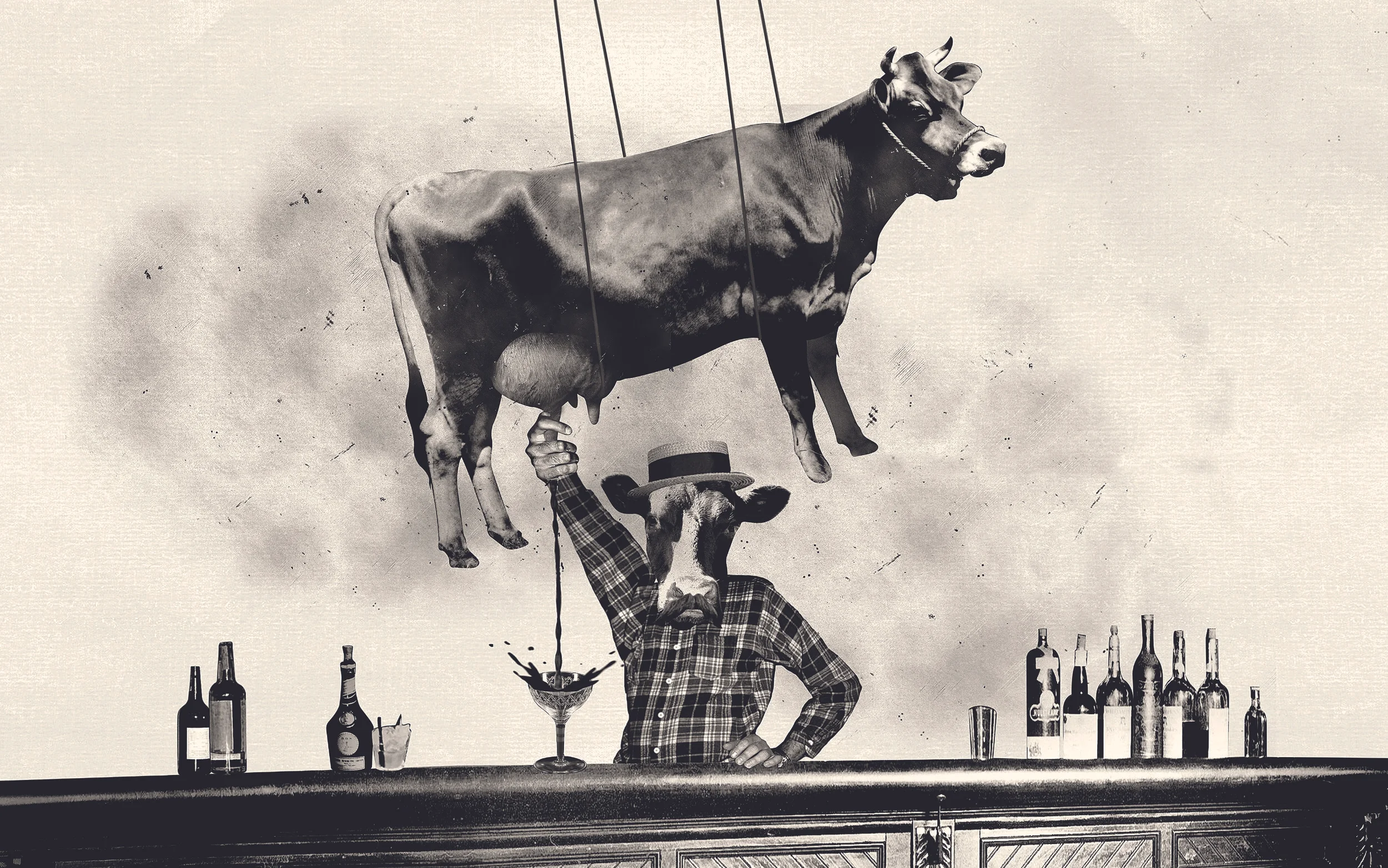 WOW14008_COWCH_FA01_BACK BAR ILLUSTRATIONS-01.jpg