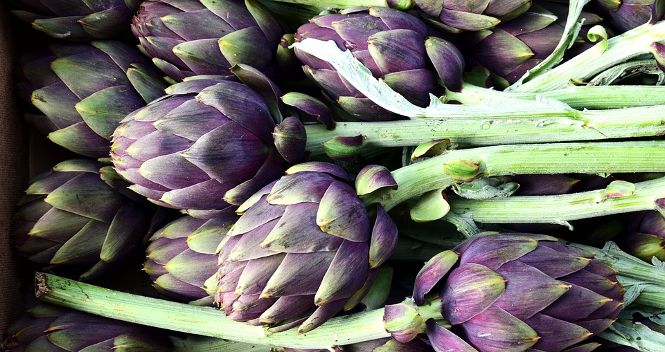 artichoke-2237845_960_720.jpg