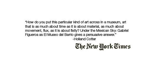 New York Times Quote.jpg