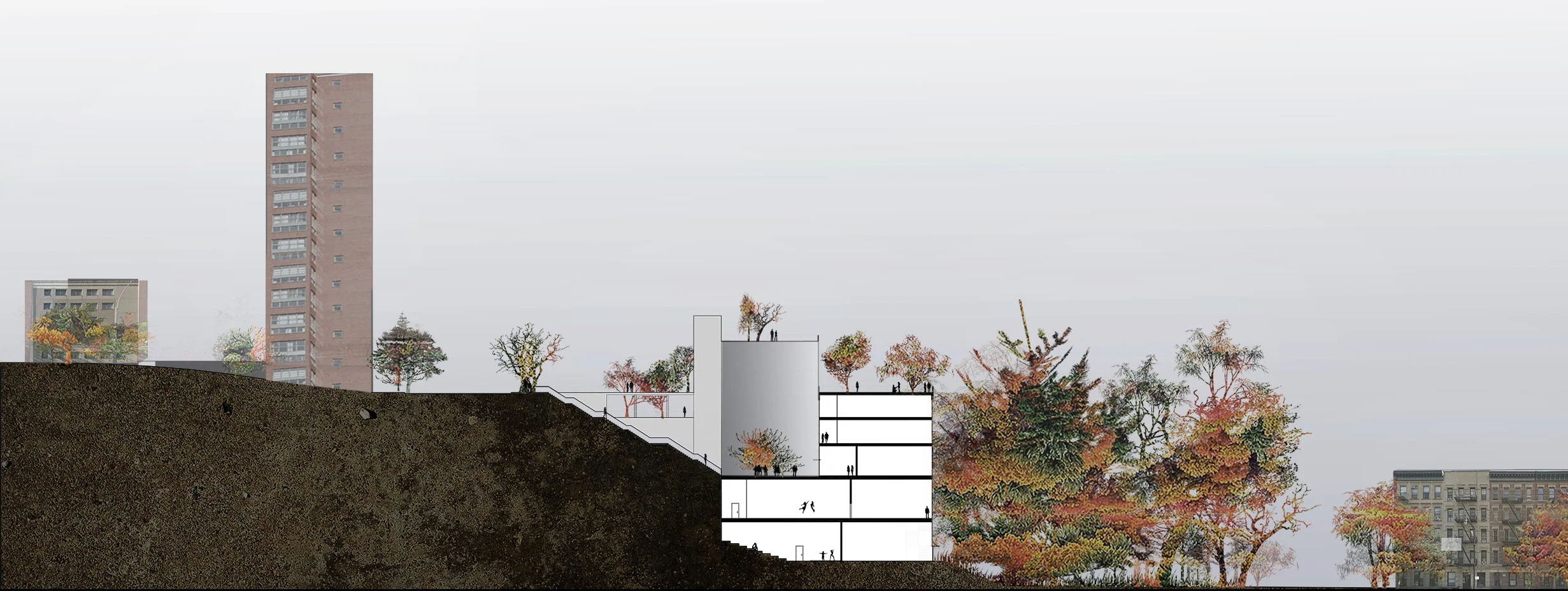 SITE SECTION_SMALL.jpg