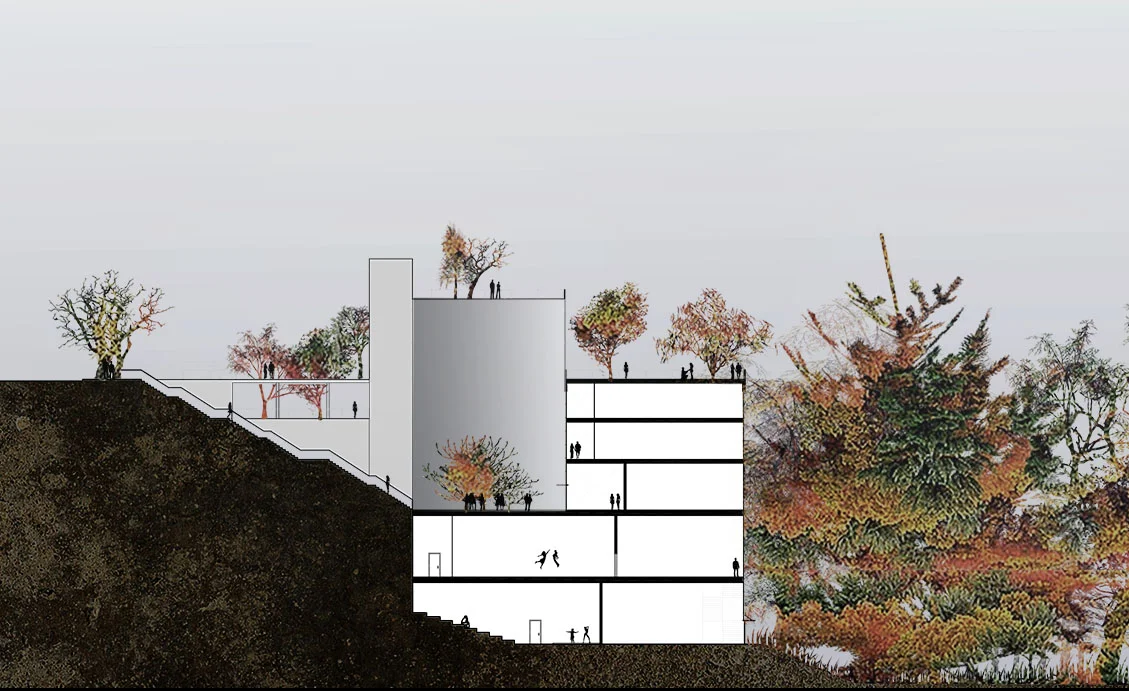 ZOOM SECTION_SMALL.jpg