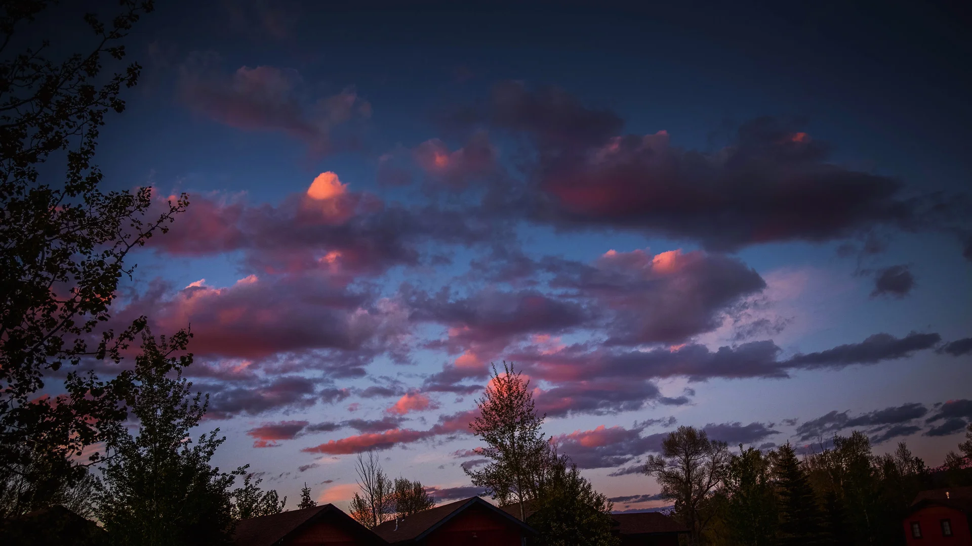 Red Sky_2017