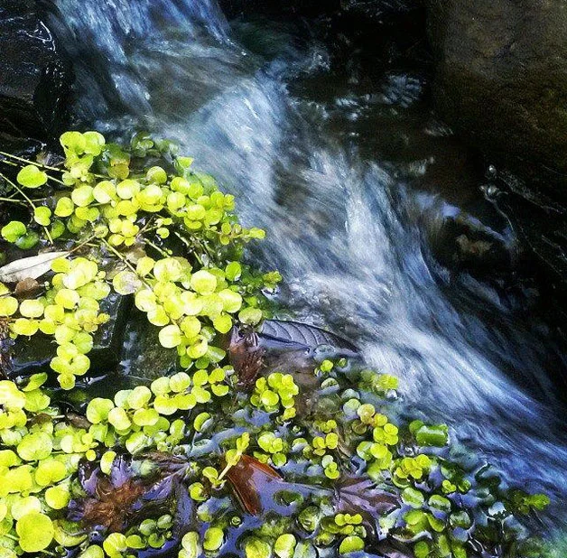 The Need to BE. Identity.