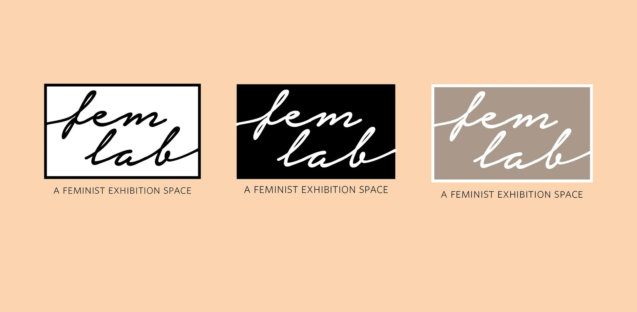 femlab.jpg