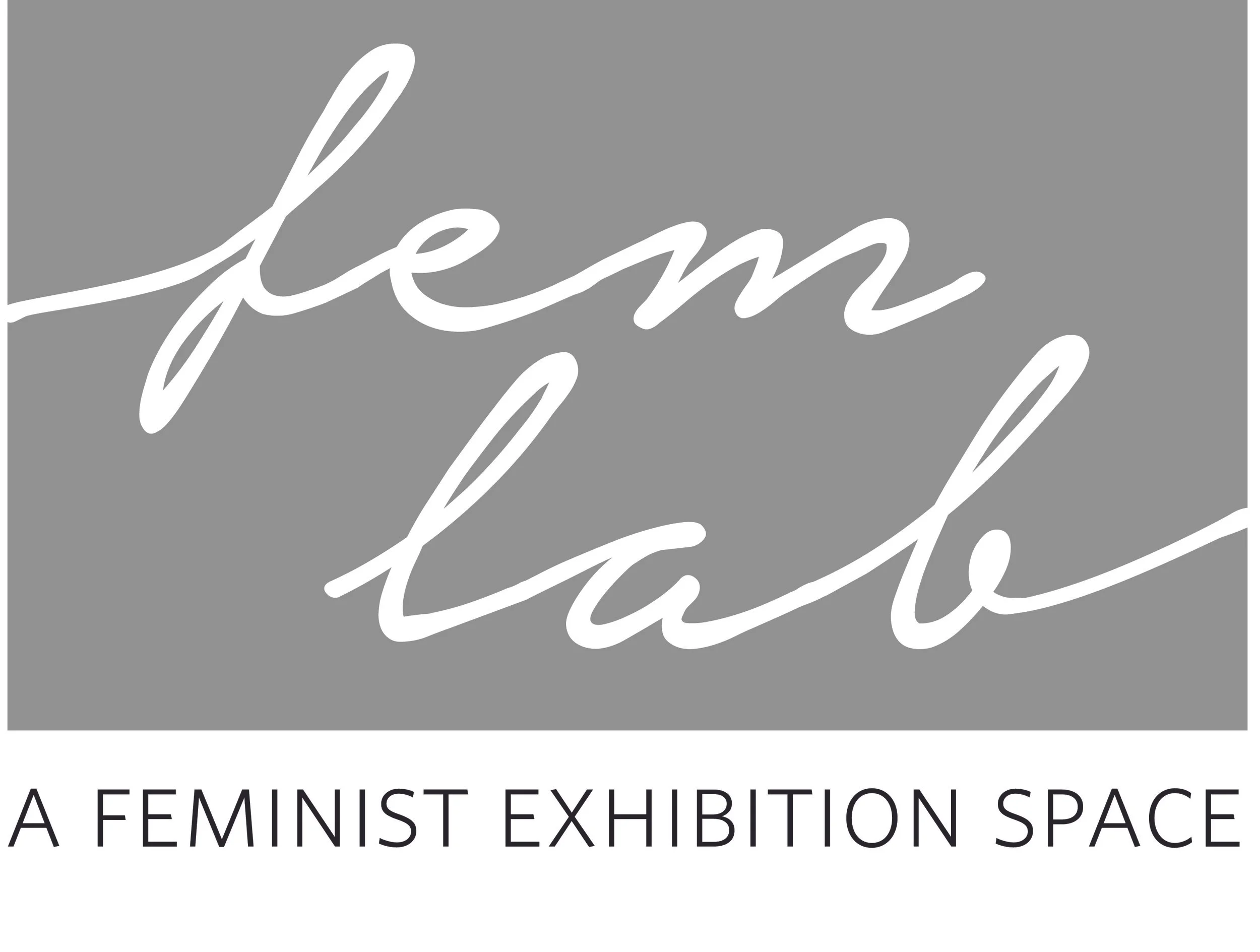 femlab_logo.jpg
