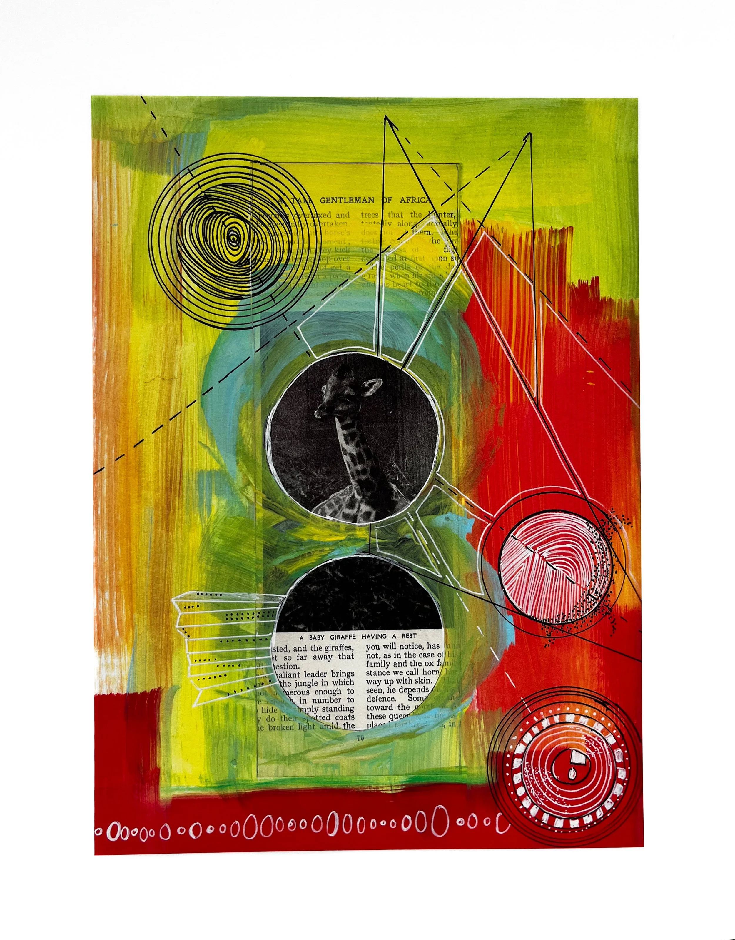 Baby Giraffe Takes a Peek