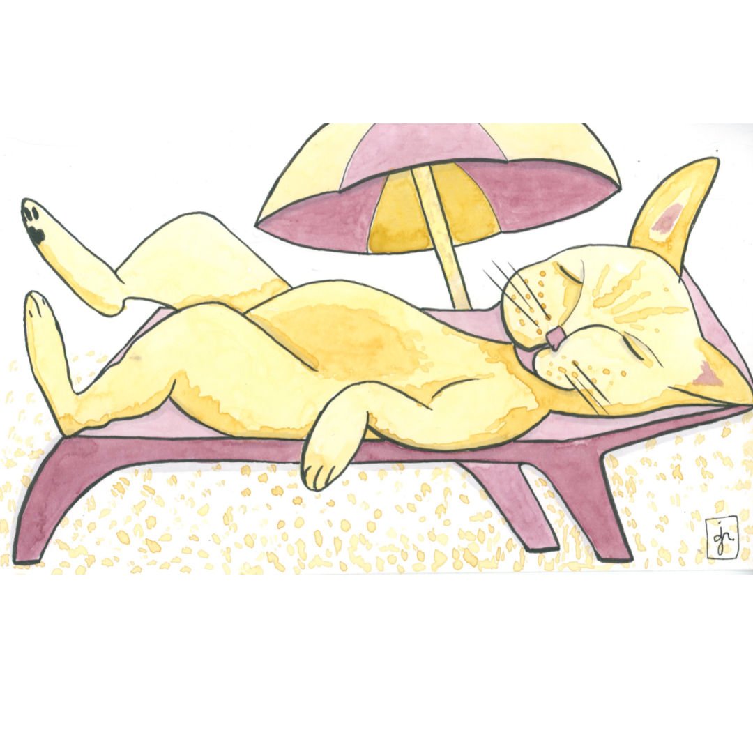 mustard cat 9-8-21.jpg