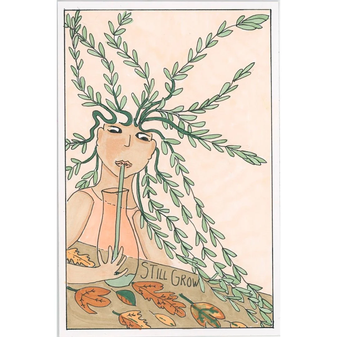 Still Grow — 52 Cards Project #41