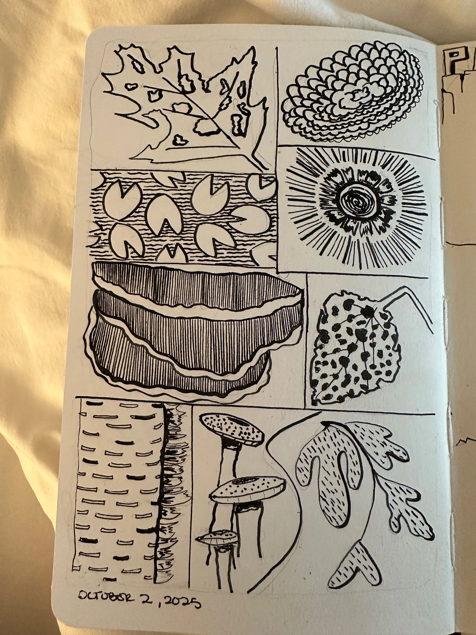 Morning Pages October 2-4
