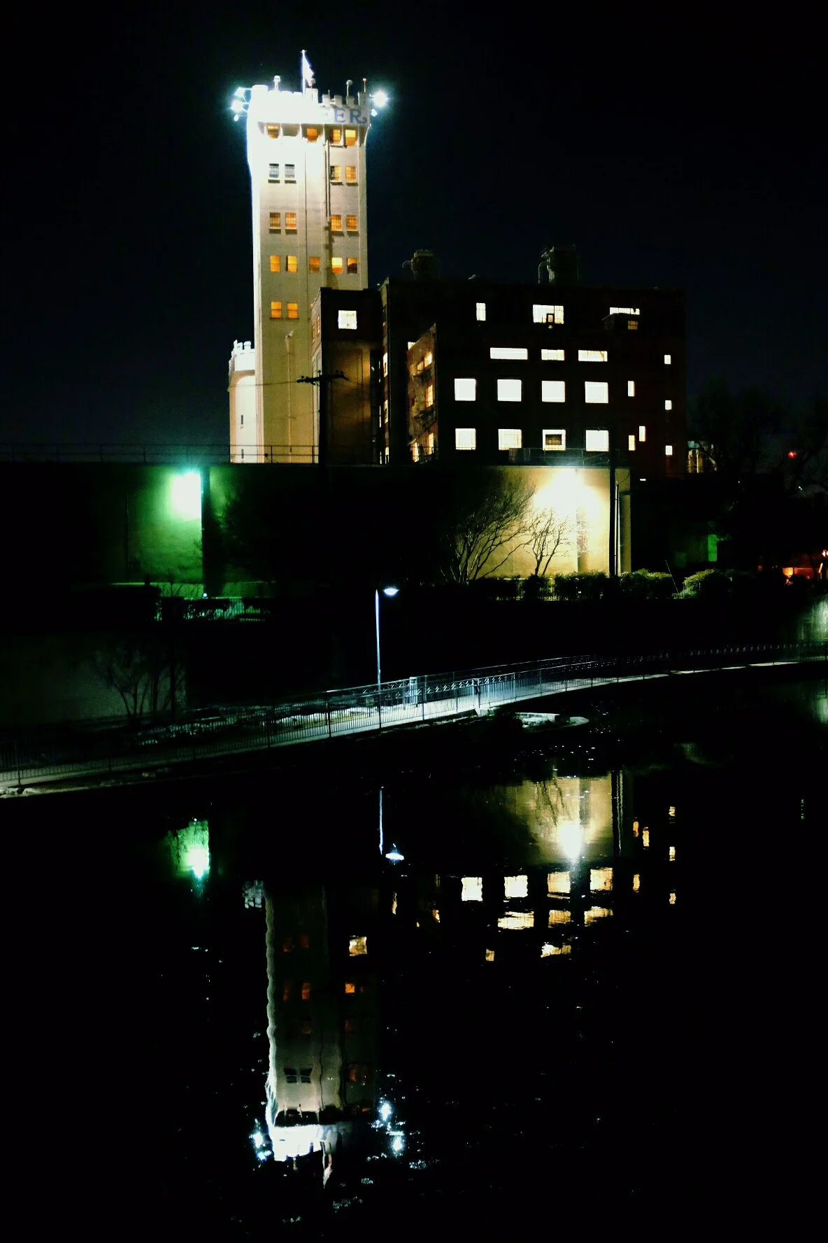 Pioneer Flour Mills