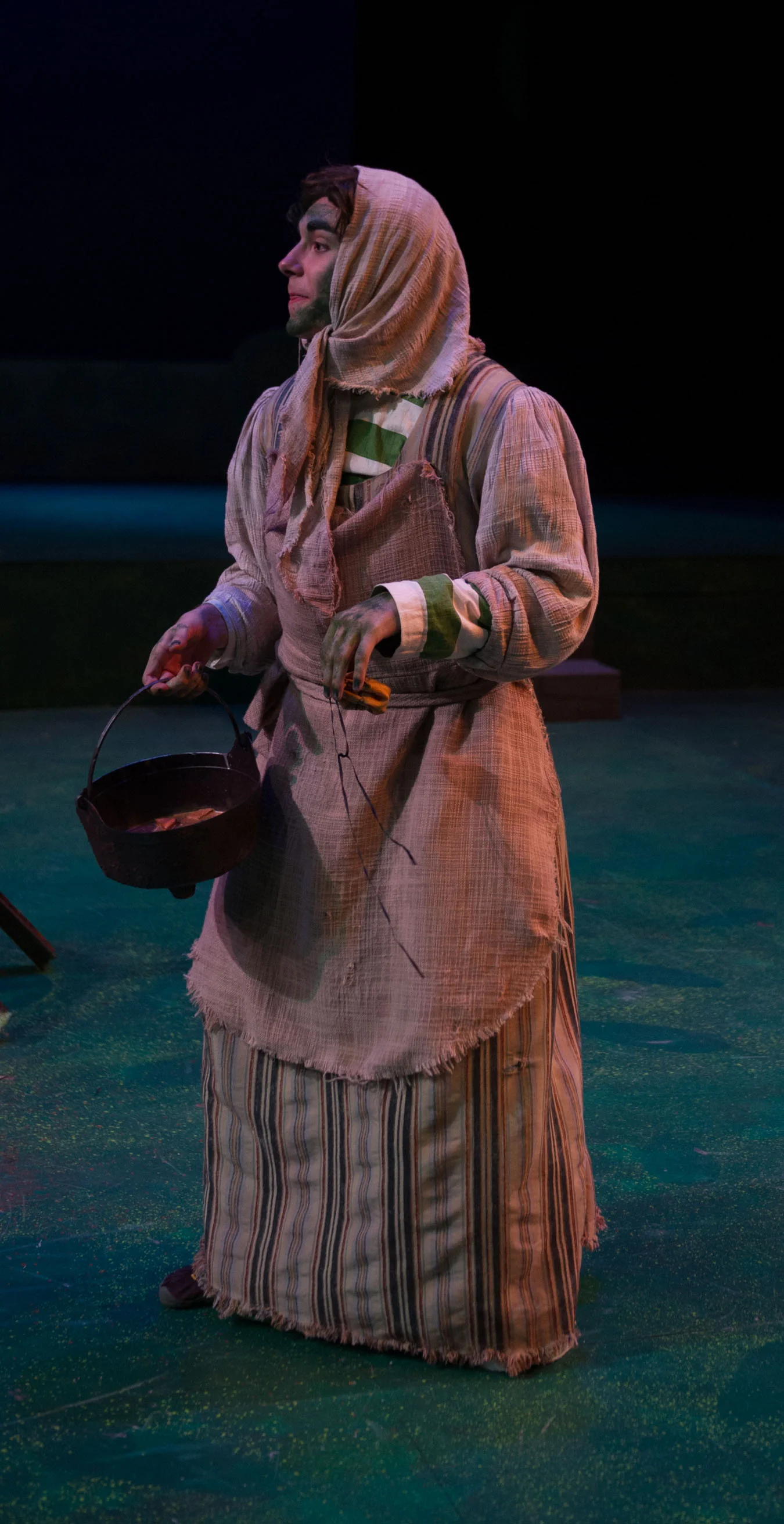 Toad disguised as the Washerwoman
