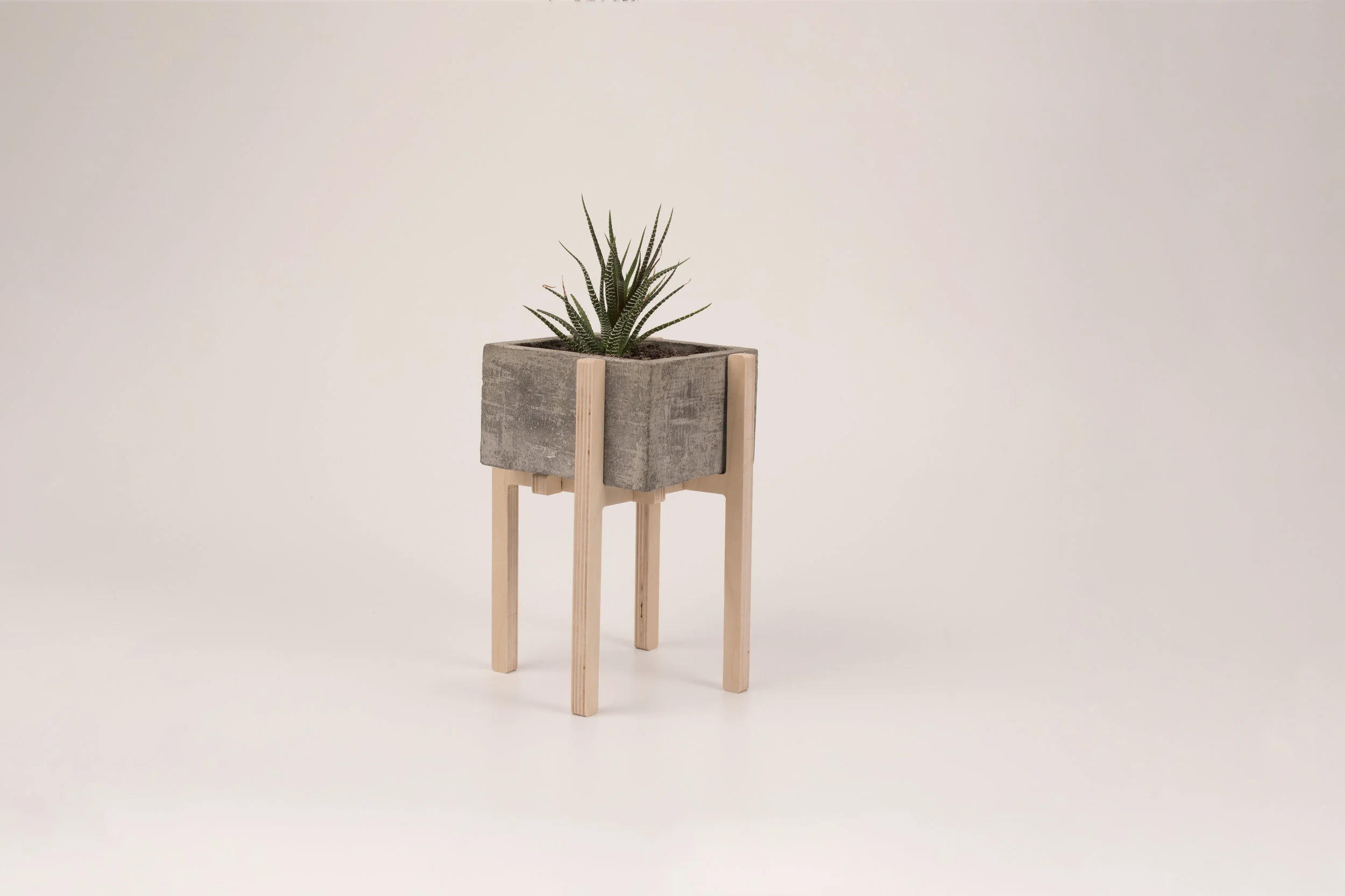 Concrescence_004.jpg