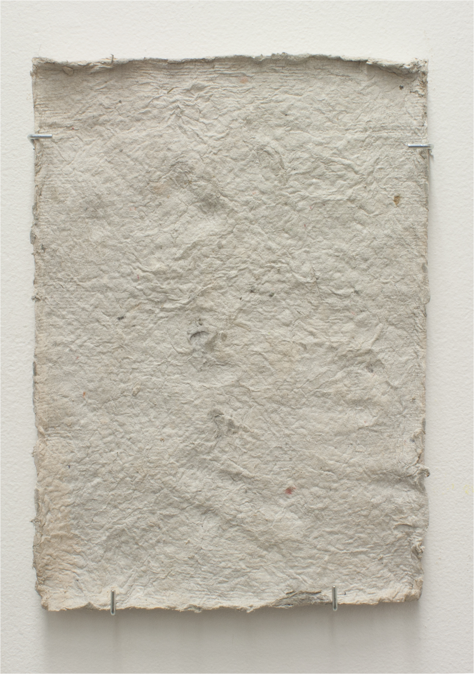   unfurled    Plaster, Detritus Paper, Leaves, and Unfired Clay   48" x 11" x 1"  2016 