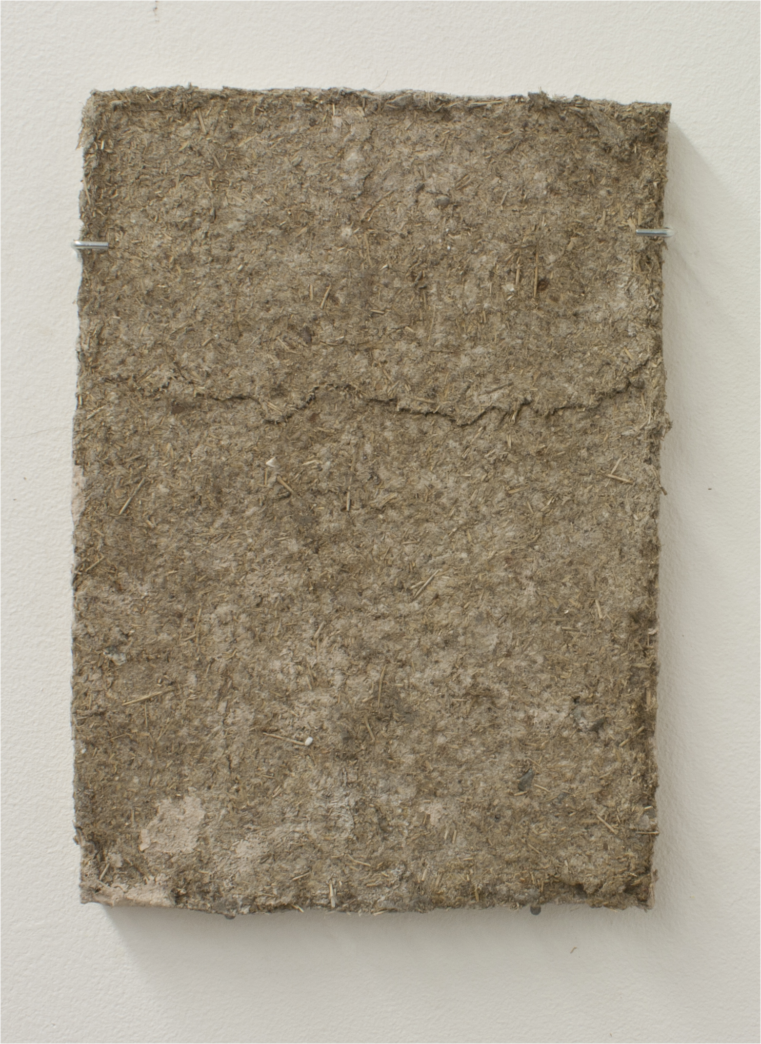   unfurled    Plaster, Detritus Paper, Leaves, and Unfired Clay   48" x 11" x 1"  2016 