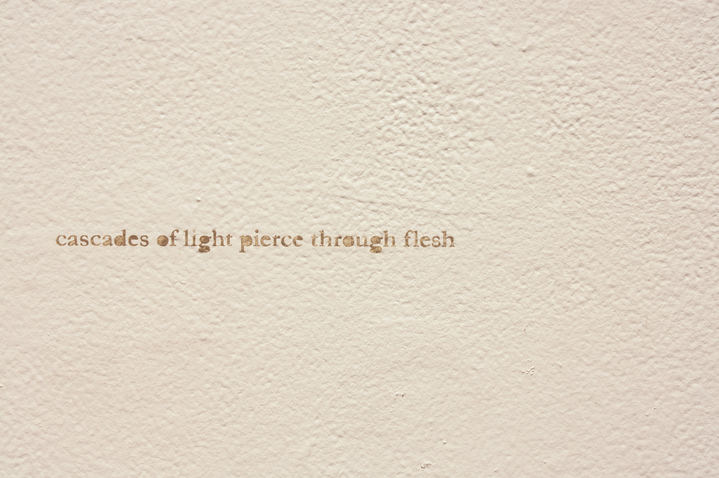   towards a surface  (after entry)   Sifted earth dug from a 5'2" x 2' x 1' area, recording emitted from a speaker, concrete, steel, saliva, and light   16'5" x 7' x 14'  2017 