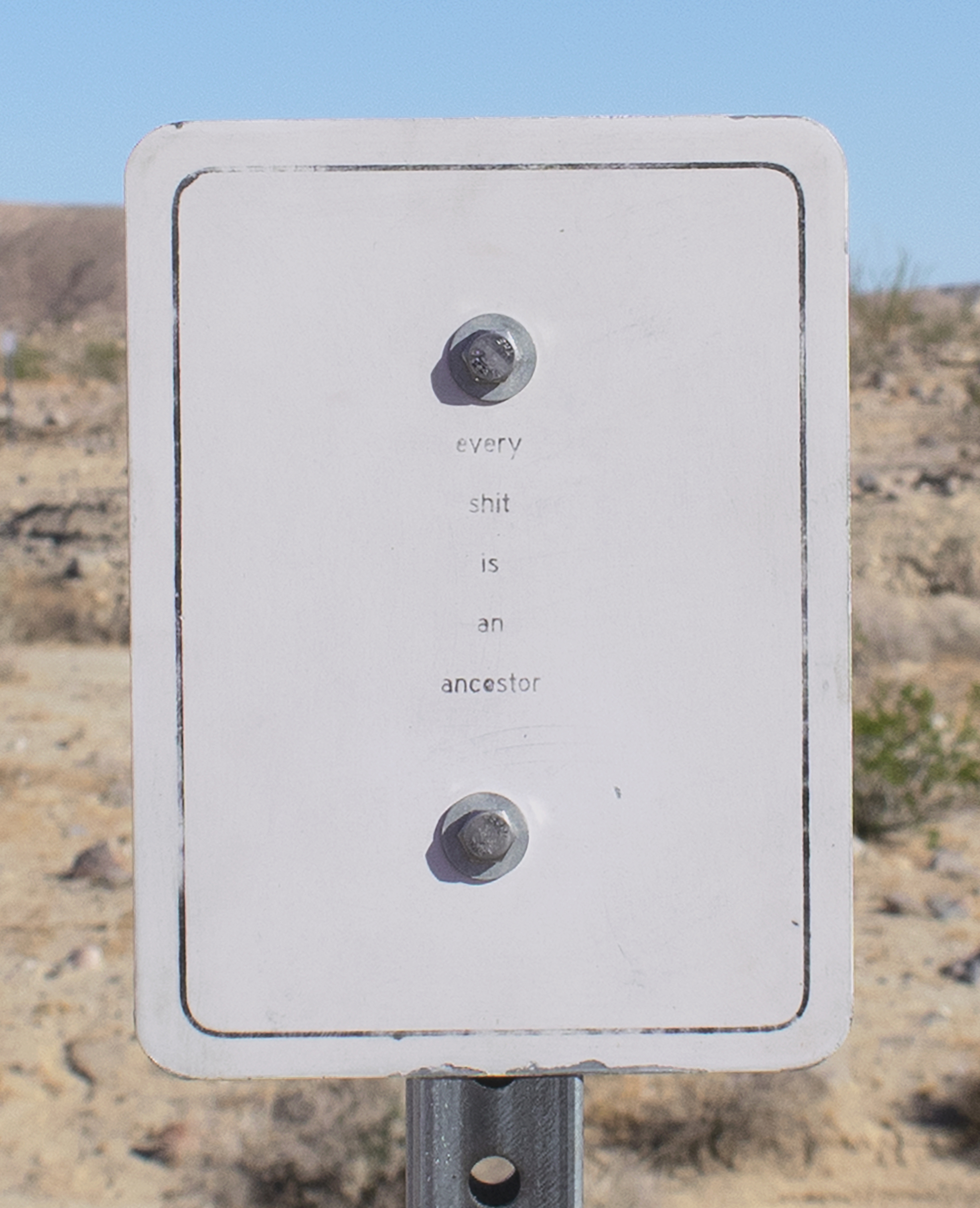   children of the sun    Galvanized Steel Signs and Posts   Dimensions Variable  2018-19 