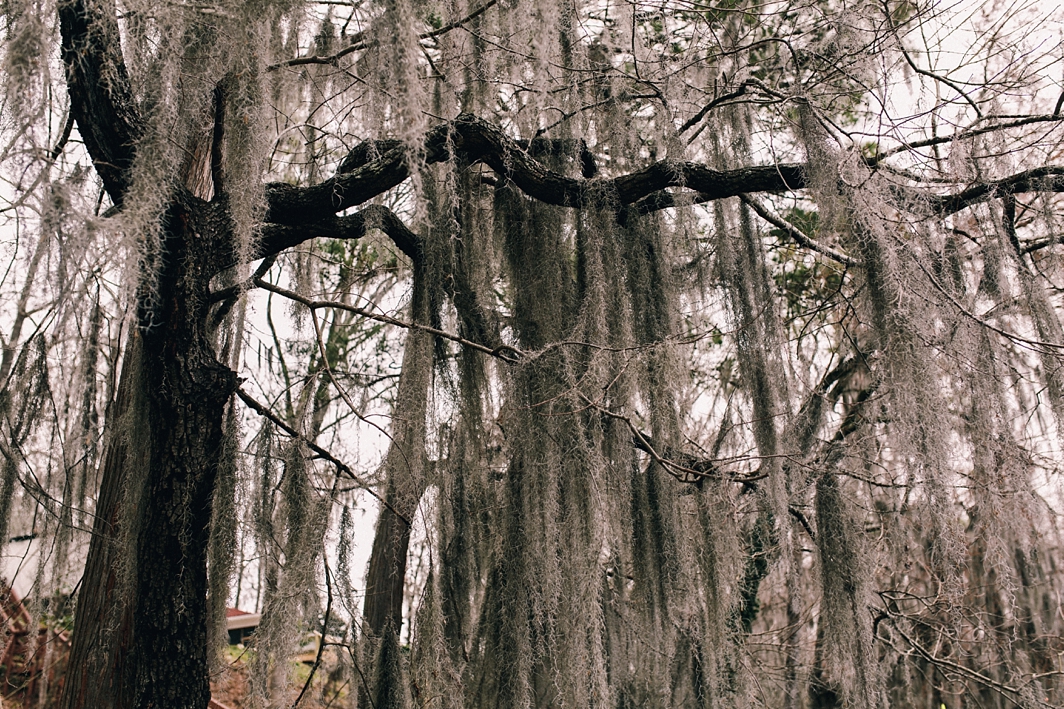 CaddoStomped_0876.jpg