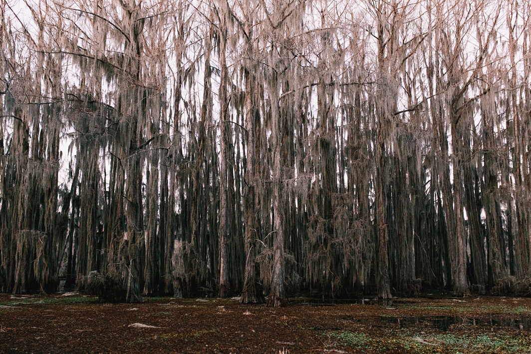 CaddoStomped_0908.jpg