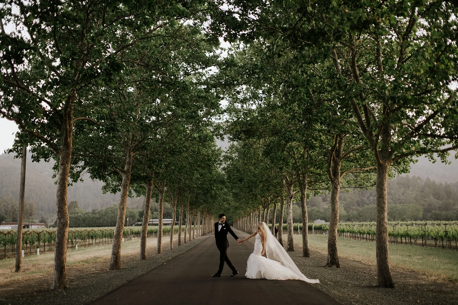 Rando Napa Wedding_1703.jpg