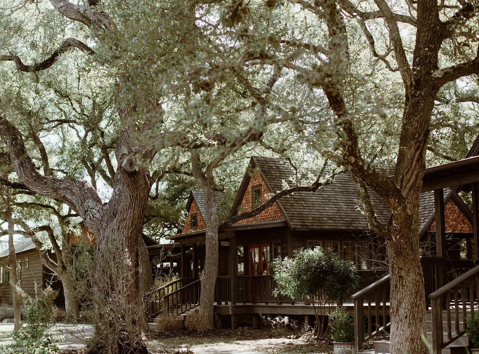 timber+spencer_0003.jpg