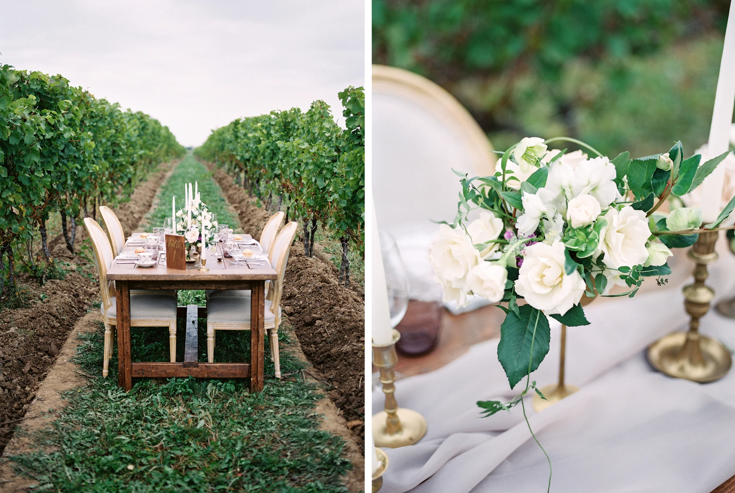 Rockway Vineyard Shoot-FILM (4 12).jpg