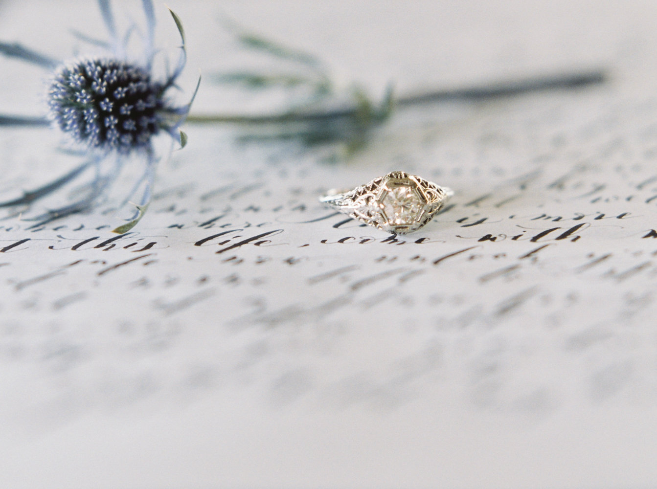 josiephotography.2015-12.jpg