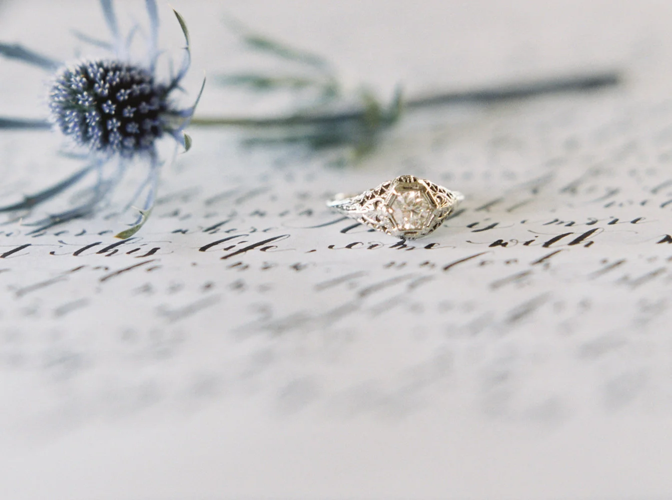 josiephotography.2015-12.jpg