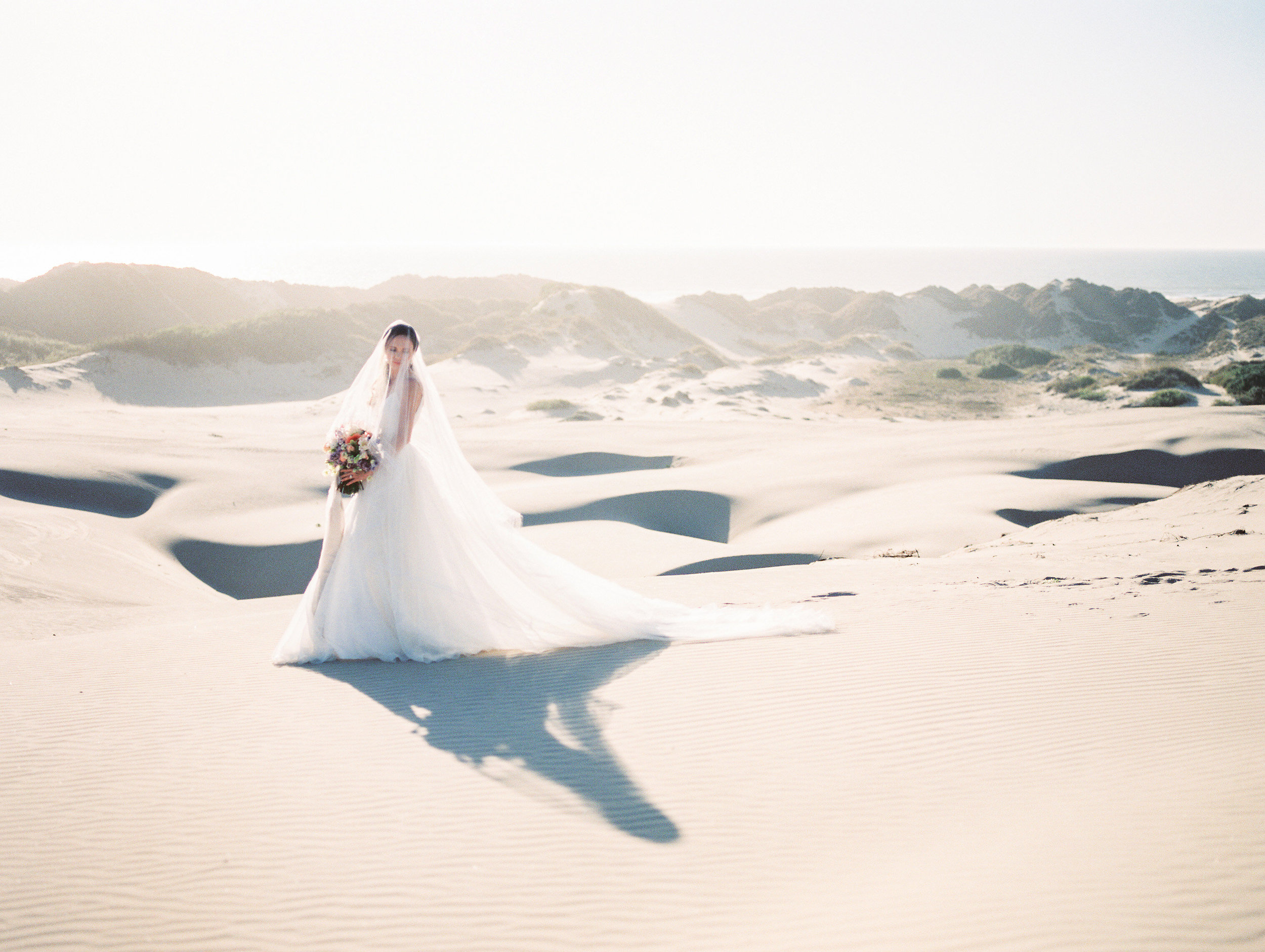 sanddunes110.jpg